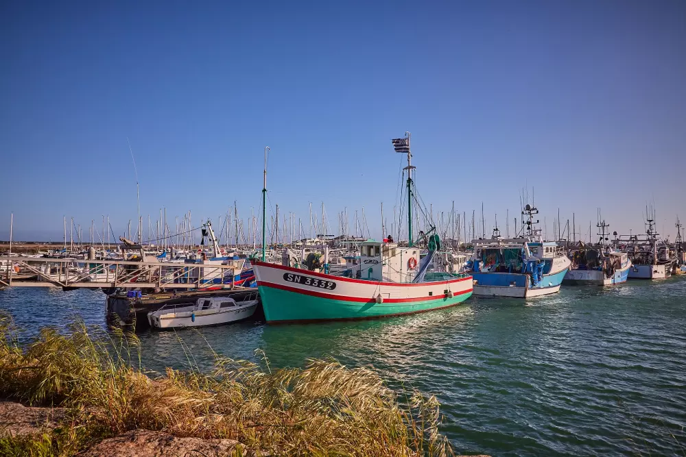 Camping Les Chardons Bleus de la Turballe
