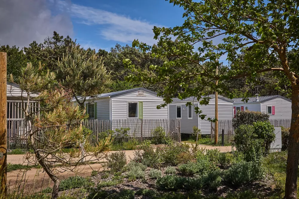 Camping Les Chardons Bleus de la Turballe