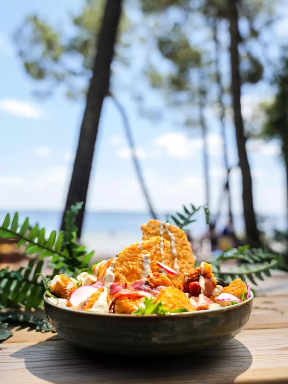 Camping Le Tedey4 Estrellas★★★★