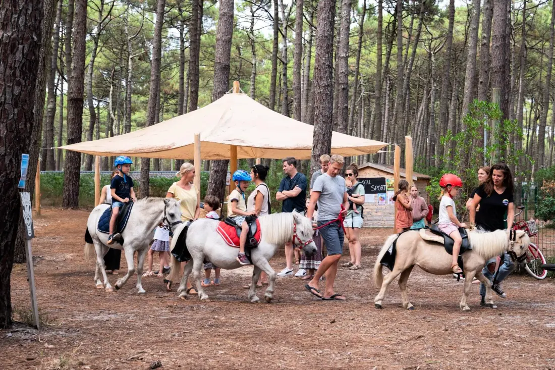 Camping Le Tedey4 Sterren★★★★