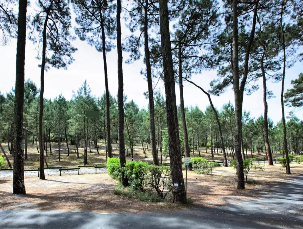 Camping Le Tedey4 Estrellas★★★★