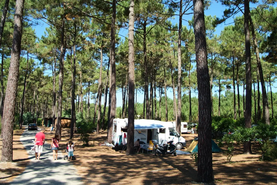 Camping Le Tedey4 Sterren★★★★