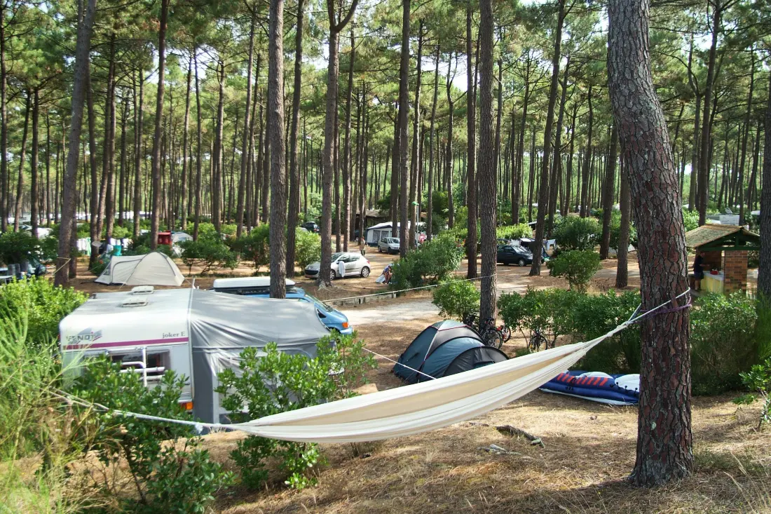 Camping Le Tedey4 Sterren★★★★