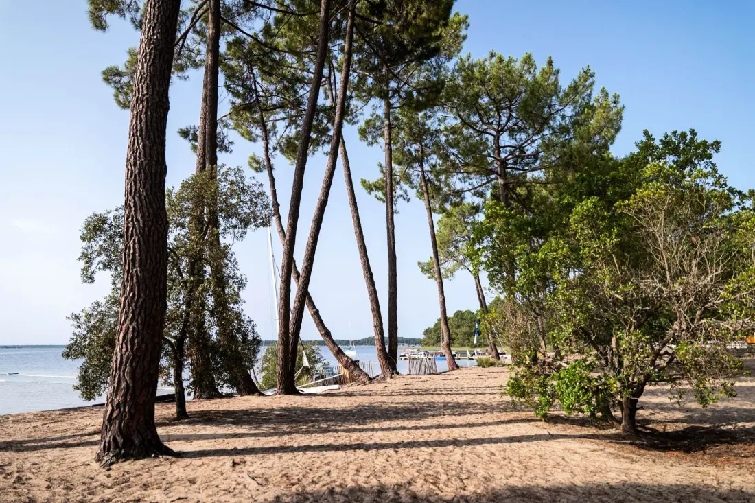 Campingplads Liberté Lacanau3 Stjerner★★★