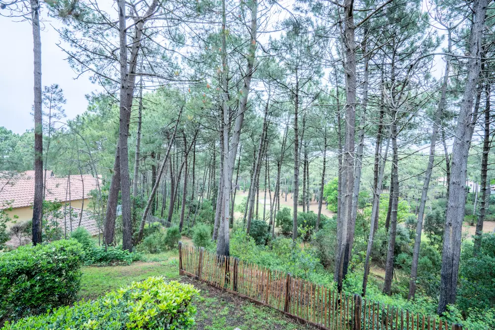 Residence Lacanau Les Pins - maeva Home