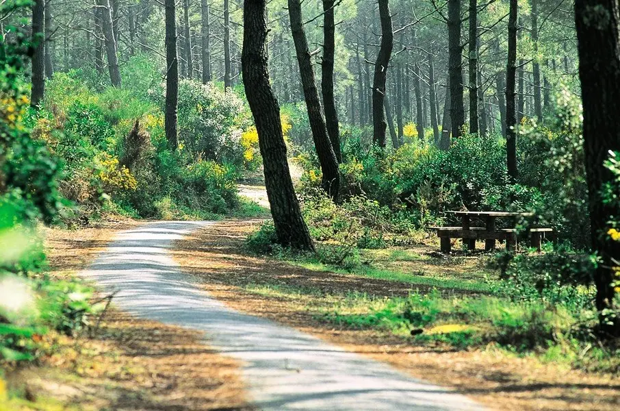 Landes rezidenciája