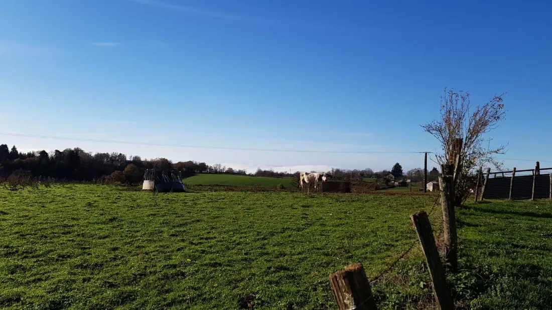 Gîte de France De 3 oren combo