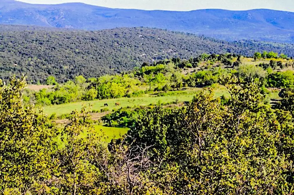 Camping Chadeyron 5 Sterren★★★★★