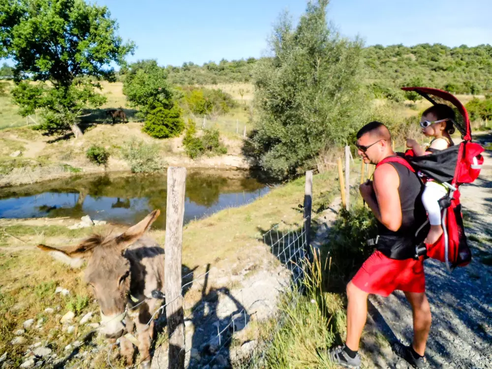 Camping Chadeyron 5 Sterren★★★★★