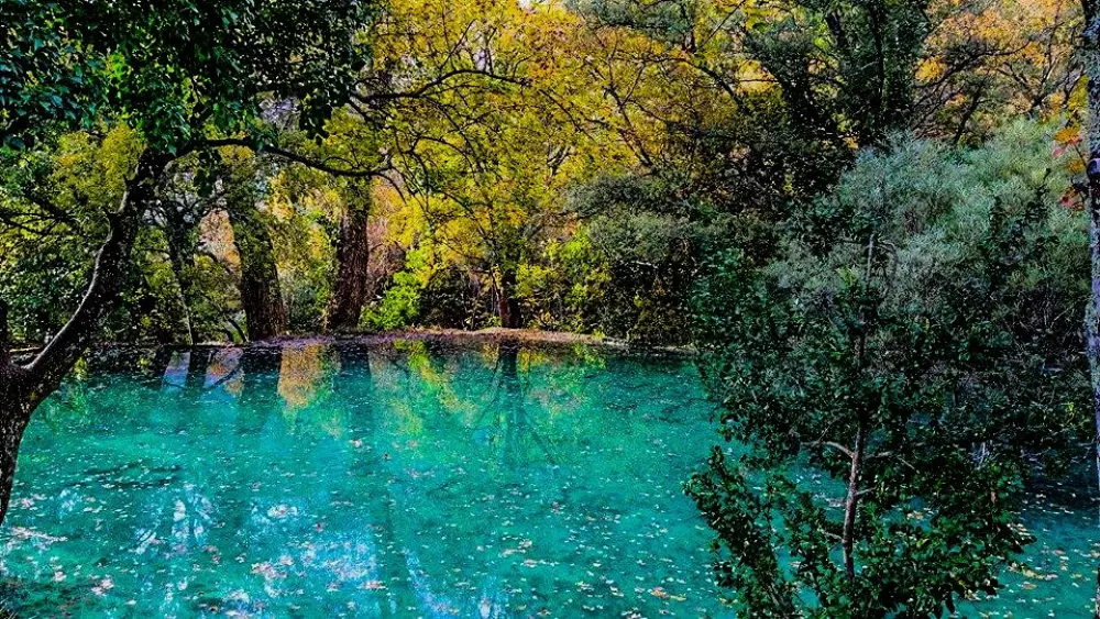 Camping Chadeyron 5 Sterren★★★★★