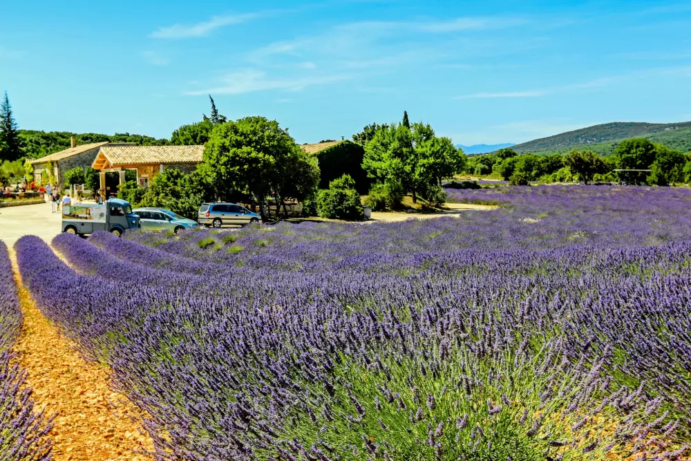 Camping Chadeyron 5 Sterren★★★★★