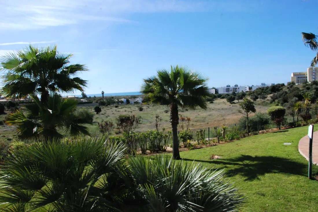 Rouquet - Meia Praia