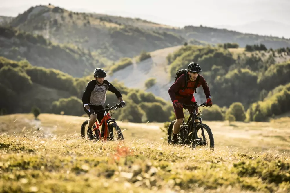 VVF Billeder af Lagrand