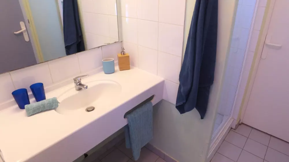 VVF Billeder af Lagrand