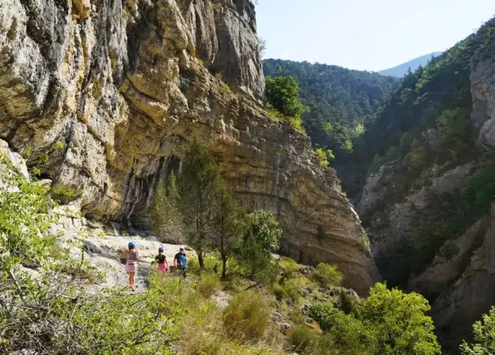 VVF Billeder af Lagrand