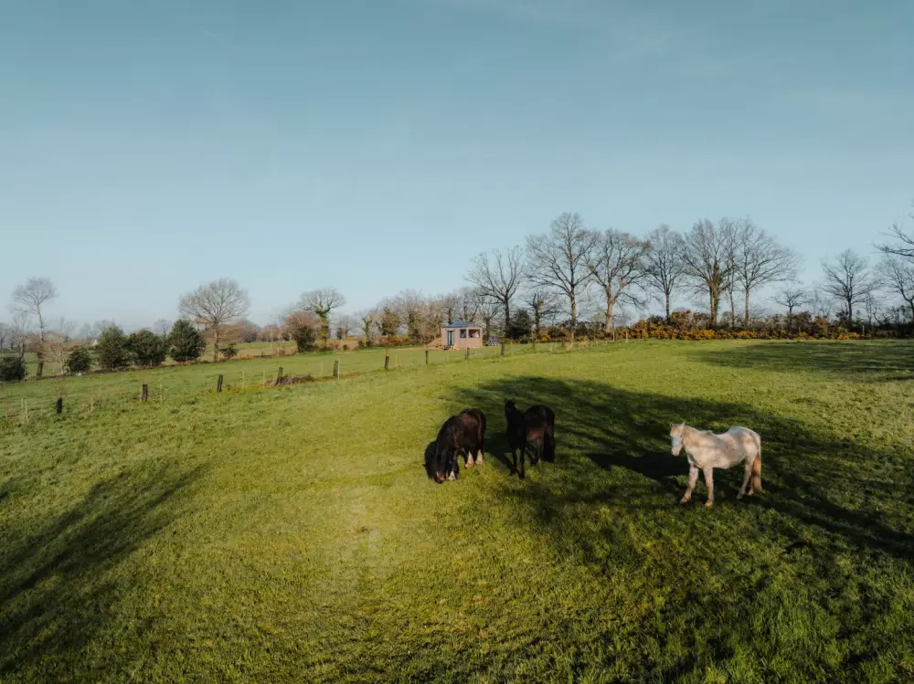 Ac Square - Parcel Tiny House