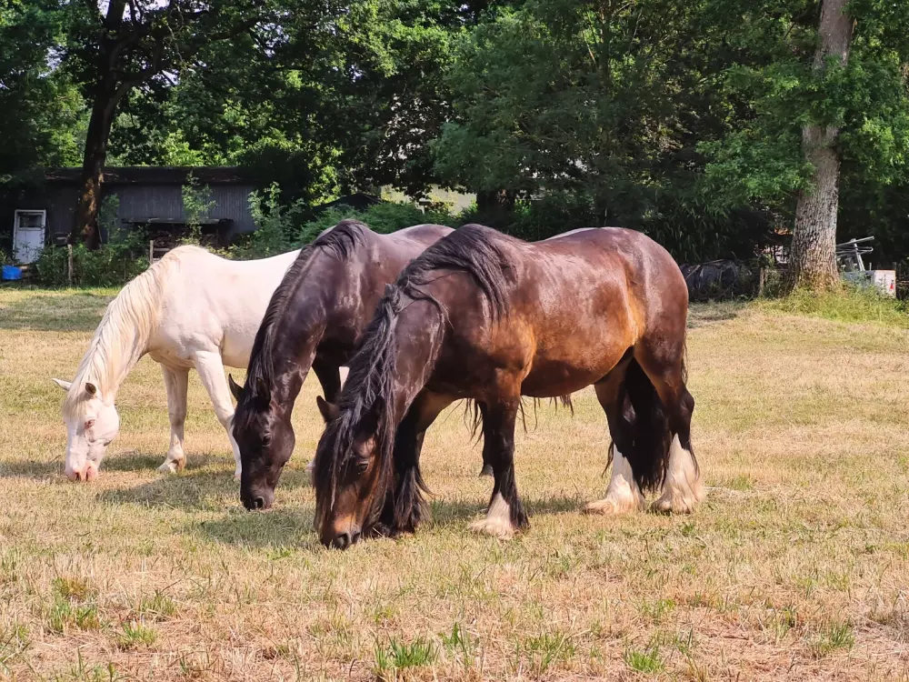 Ac Square - Parcel Tiny House
