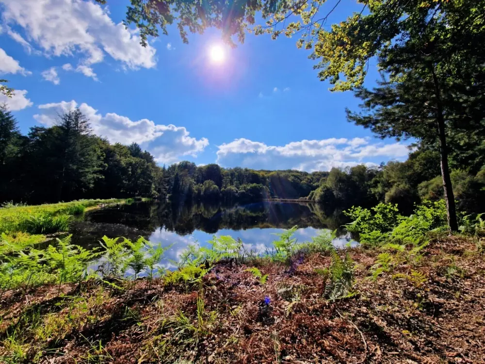 Campingplads Montard