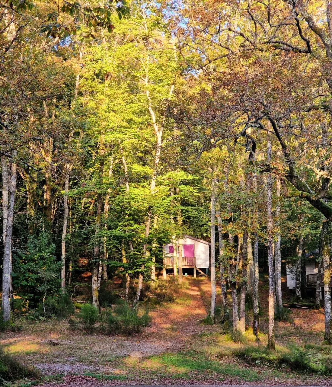 Campsite Montard