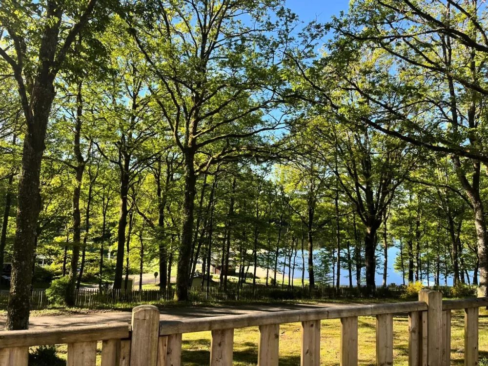 Campingplads Montard