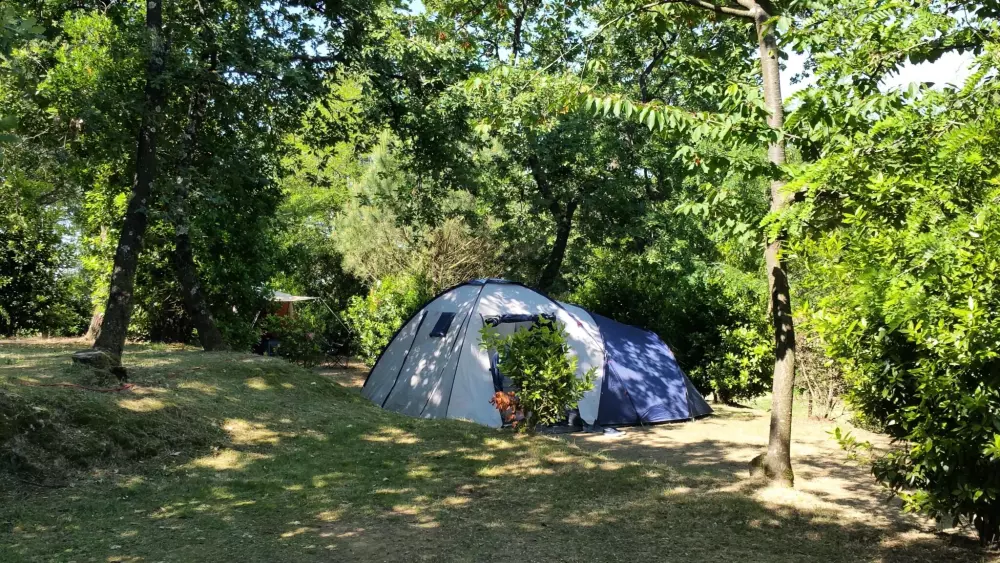 Camping Barco Reale 4 Estrellas★★★★