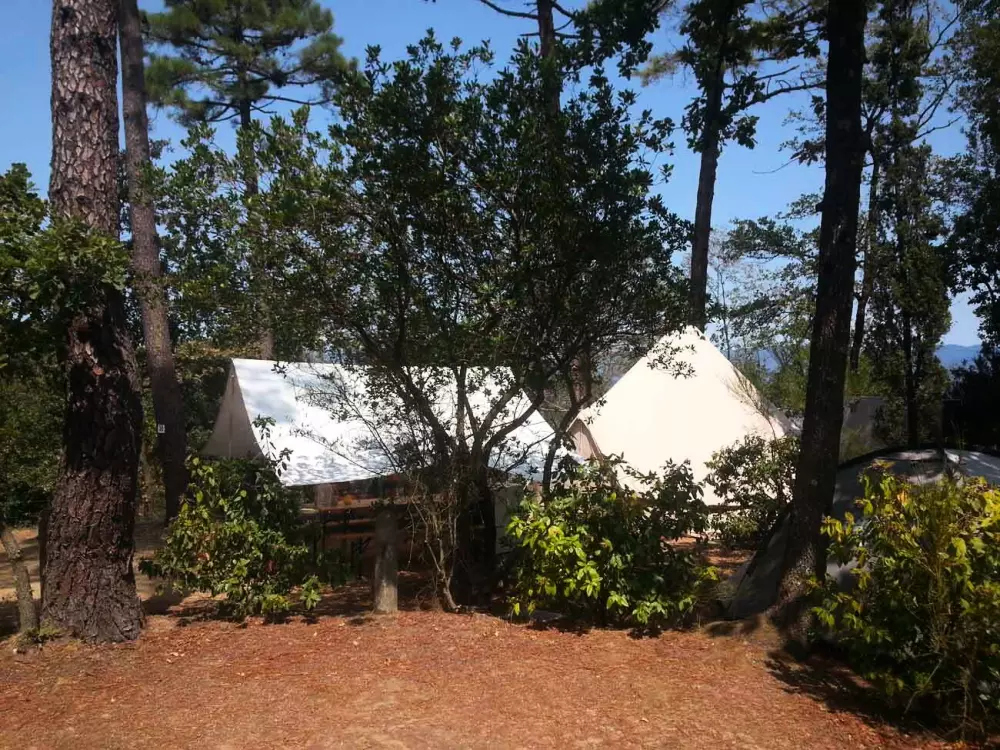 Camping Barco Reale 4 Estrellas★★★★