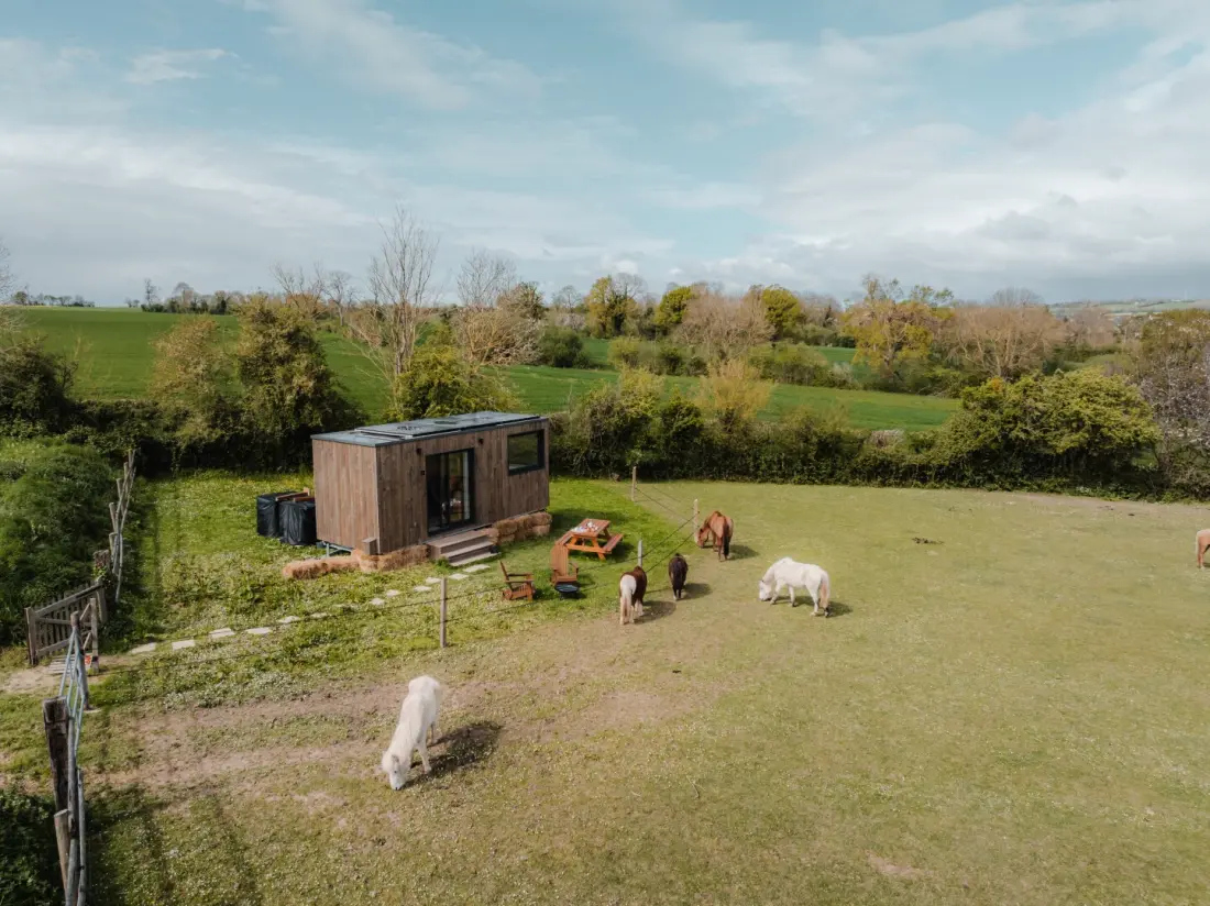 Apple trees - Parcel Tiny House
