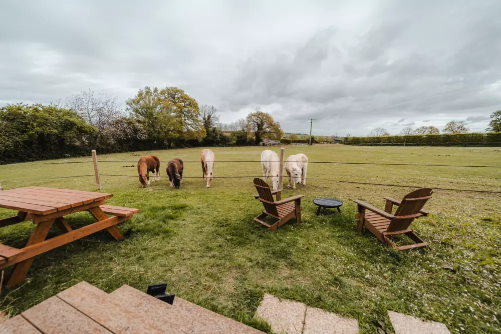 Pommiers - Parcel Tiny House