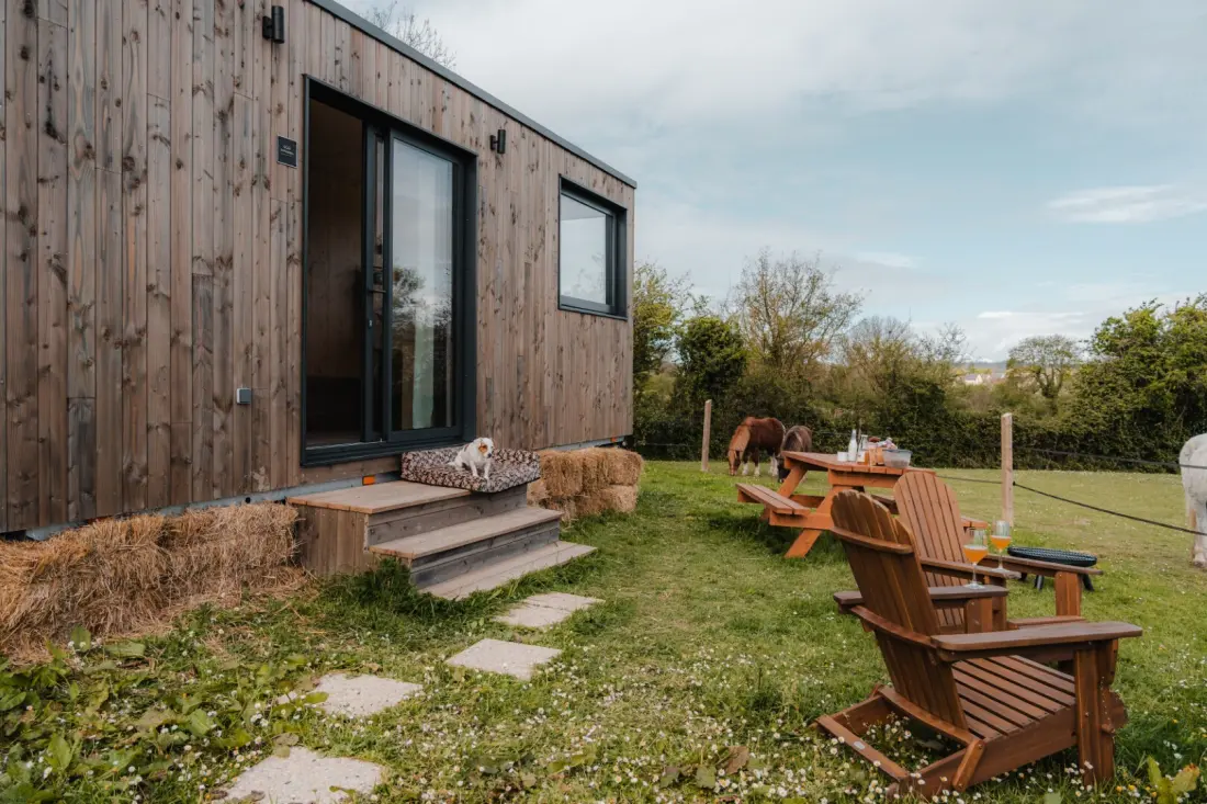 Apple trees - Parcel Tiny House