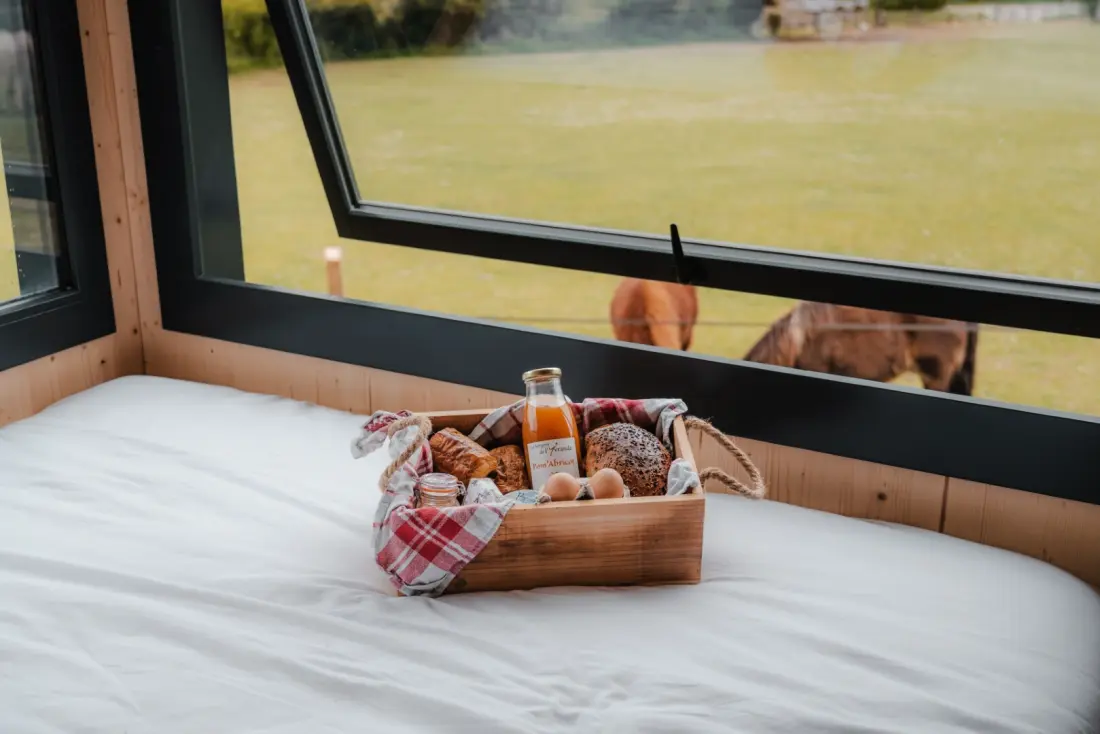 Apple trees - Parcel Tiny House