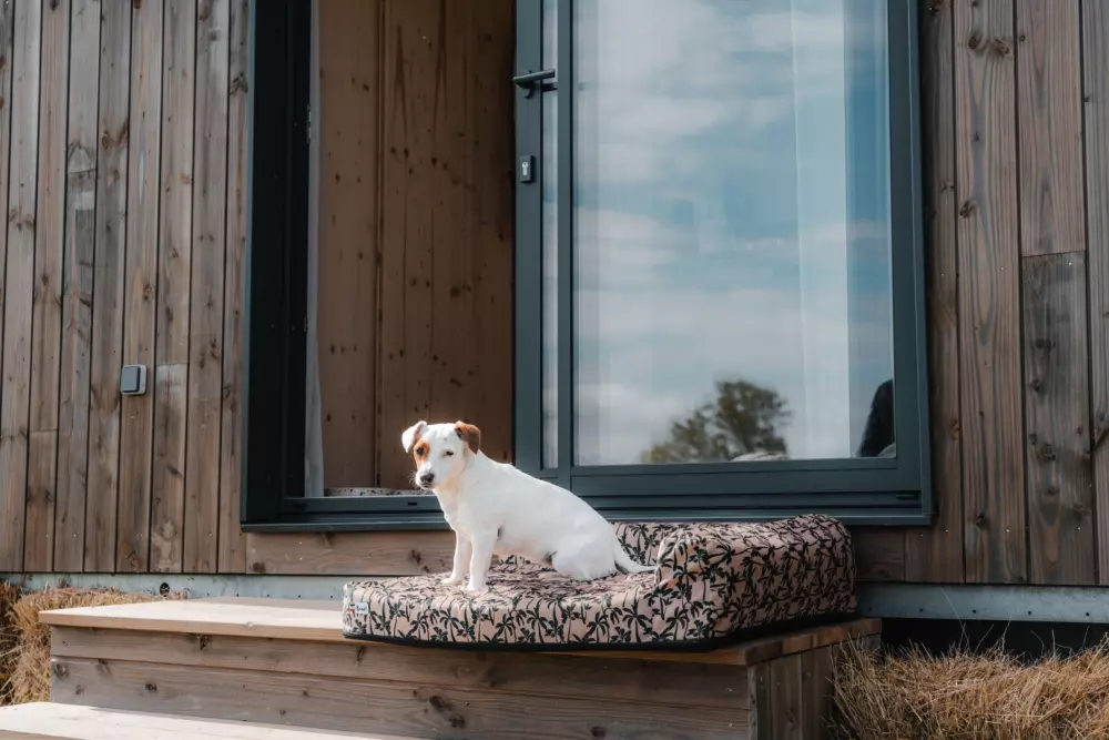 Pommiers - Parcel Tiny House