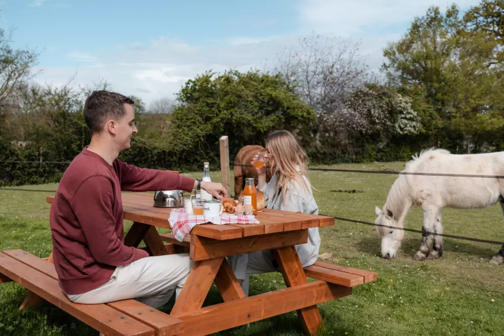 Pommiers - Parcel Tiny House