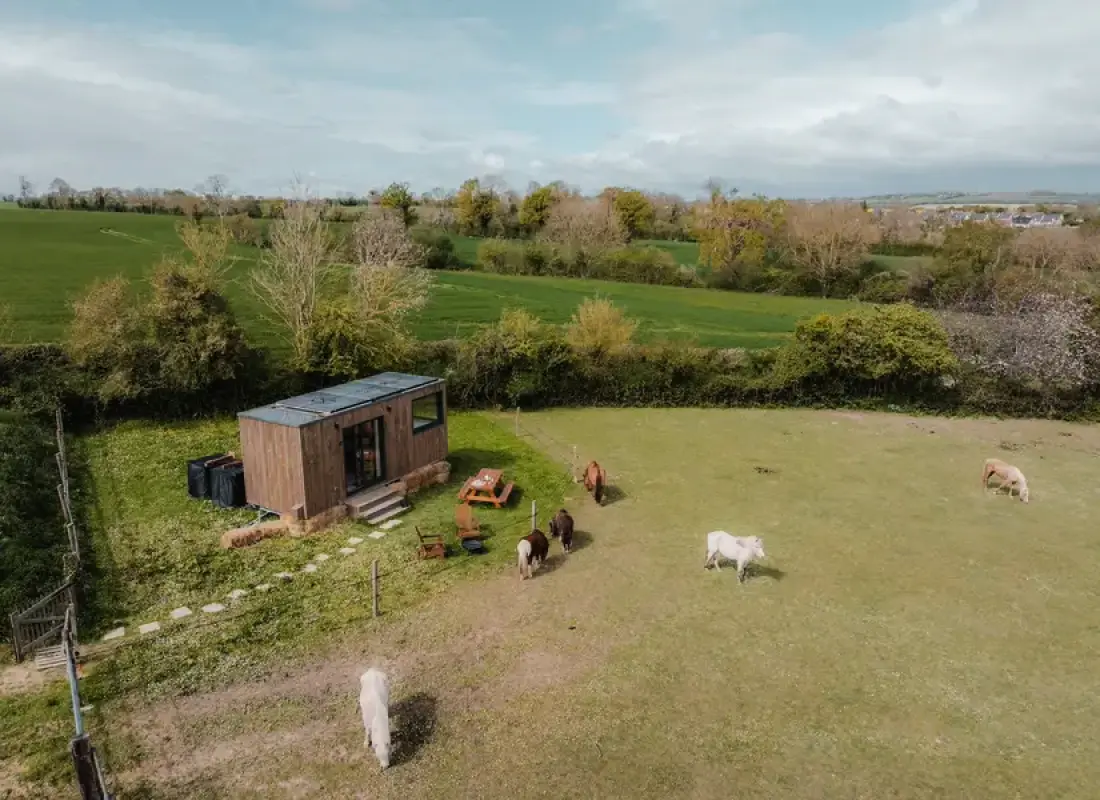Apple trees - Parcel Tiny House