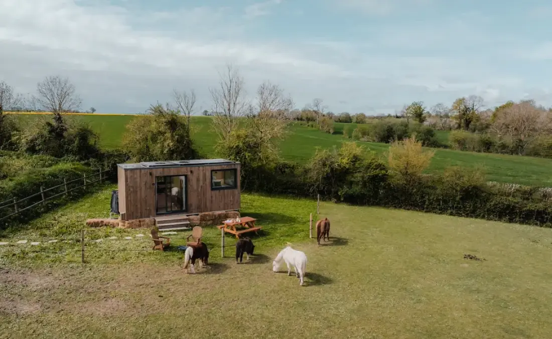 Apple trees - Parcel Tiny House