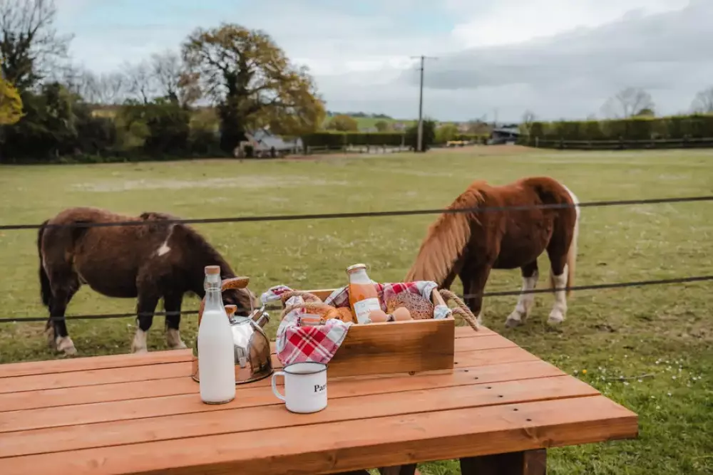 Pommiers - Parcel Tiny House