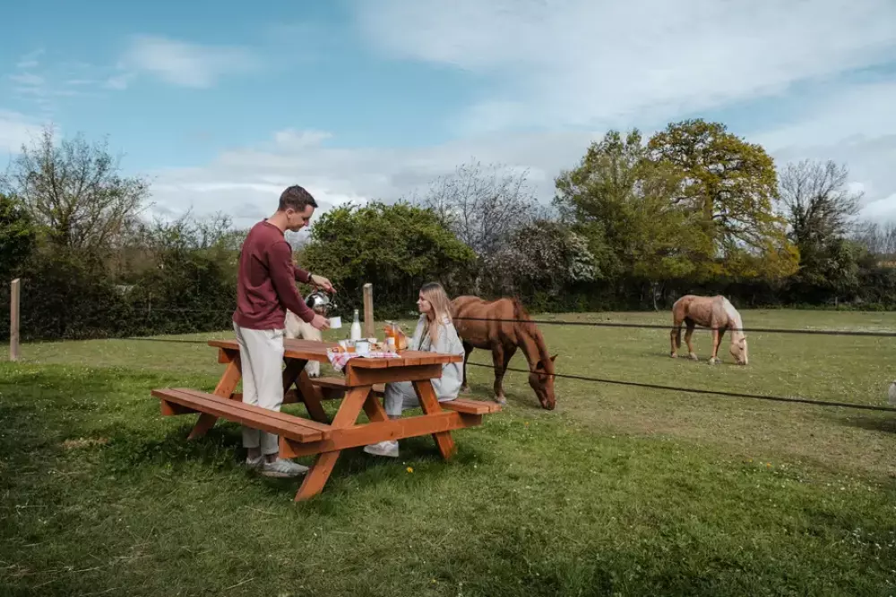 Pommiers - Parcel Tiny House