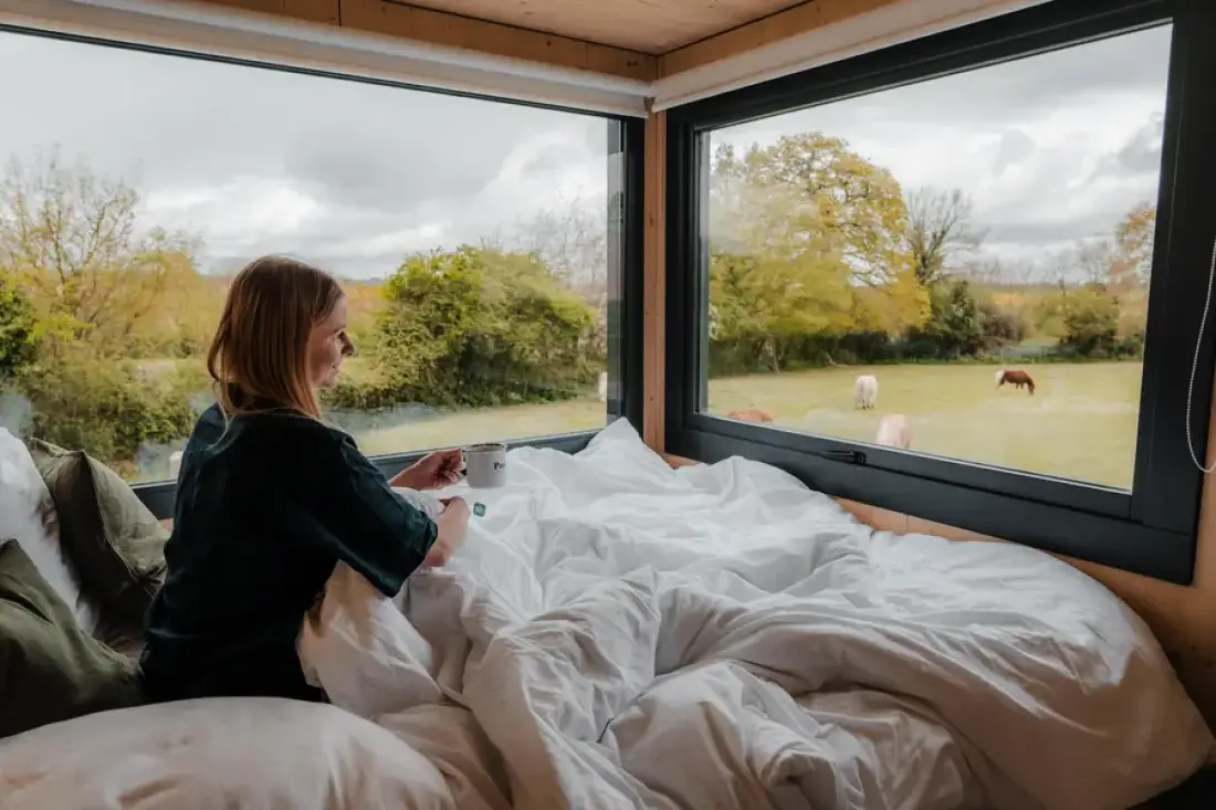 Apple trees - Parcel Tiny House