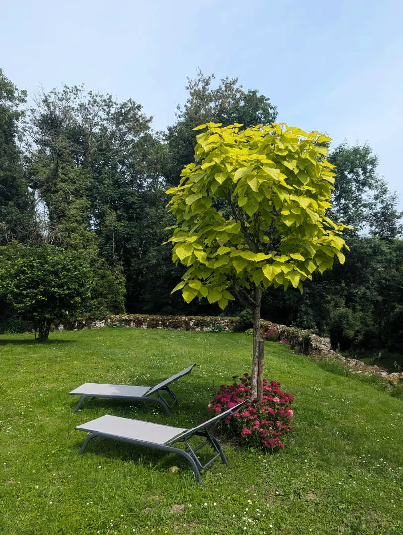 Gîte de France Gîte du Séminaire 4 depis