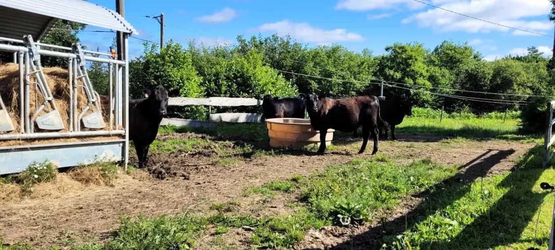 Gîte de France Ty prad 3 Ohren