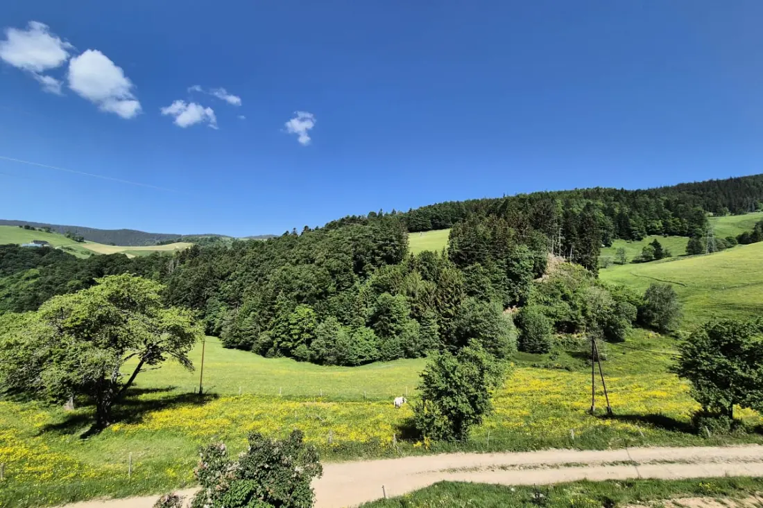 Le Brézouard 7 ember nyugodt/fraicher