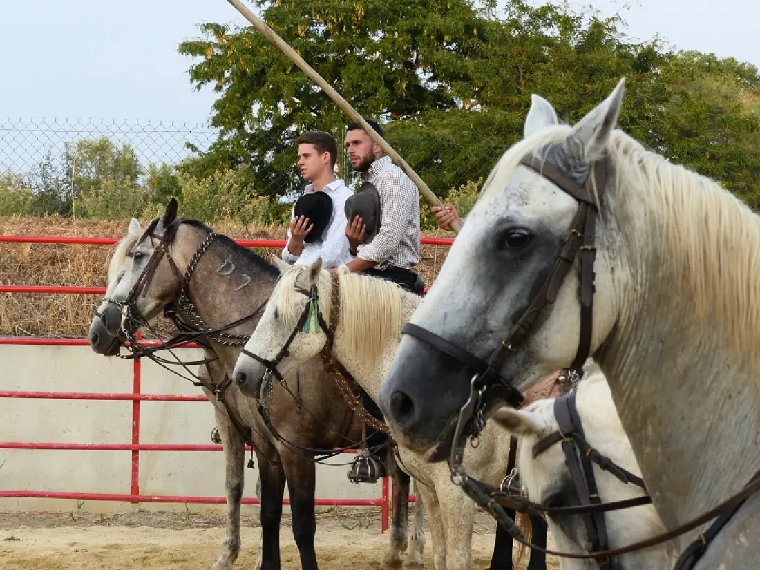 Kemping Le Camarguais Útvonalterv