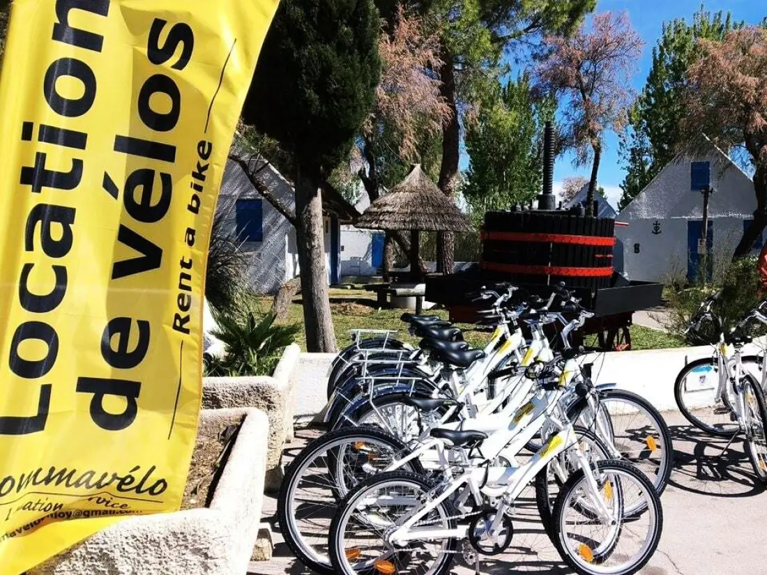 Camping Le Camarguais 4 étoiles★★★★