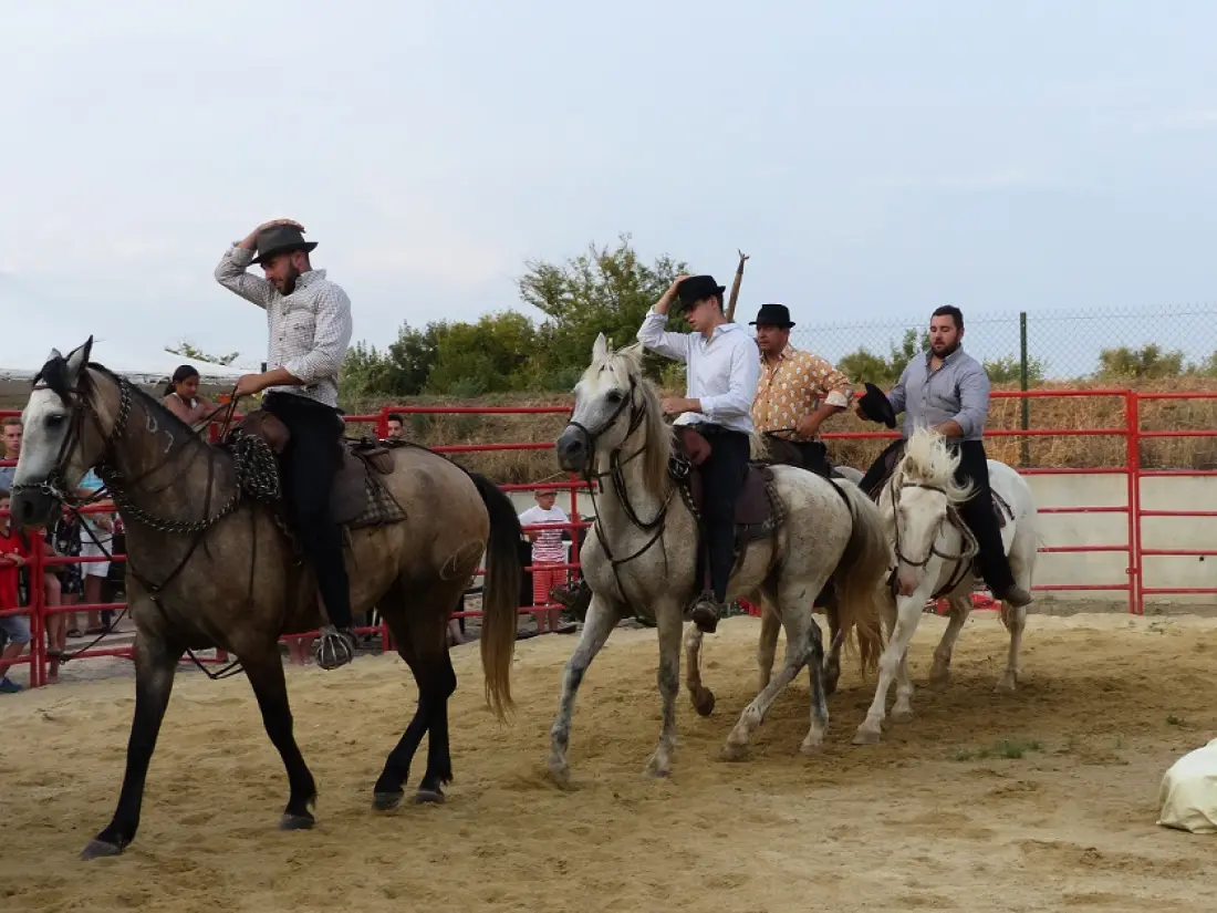 Kemping Le Camarguais Útvonalterv