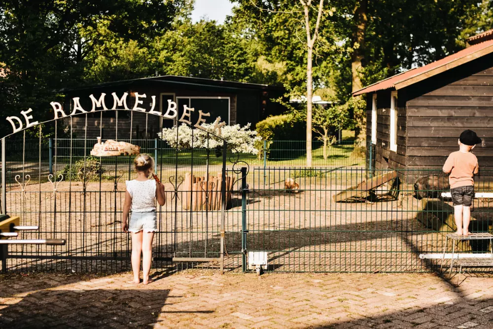Camping de Rammelbeek