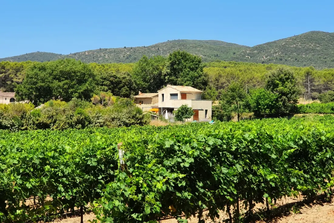 Maison Des Vignes: úszómedence és báj Laurisban