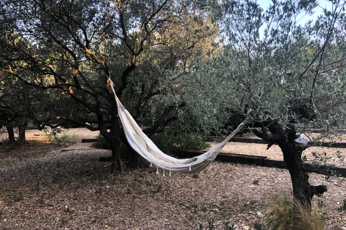La Matina: Családi béke van egy Olive Garden-ben
