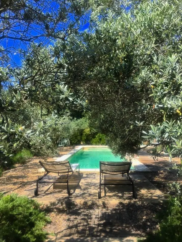 La Matina: Családi béke van egy Olive Garden-ben