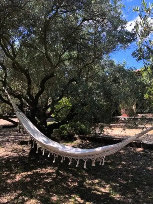 La Matina: Családi béke van egy Olive Garden-ben