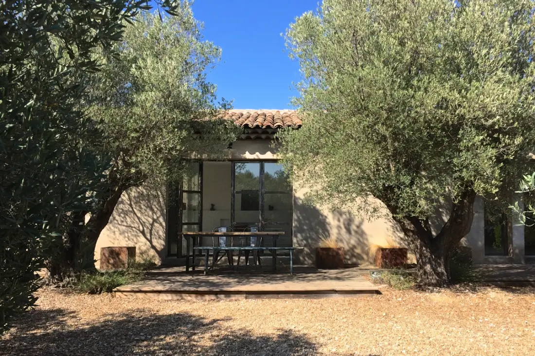 La Matina: Családi béke van egy Olive Garden-ben