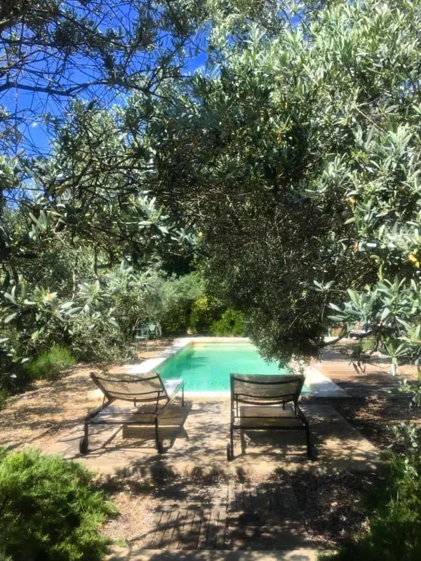 La Matina: Családi béke van egy Olive Garden-ben